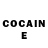 COCAIN Fish Scale Price X