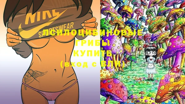 прущая мука Сатка