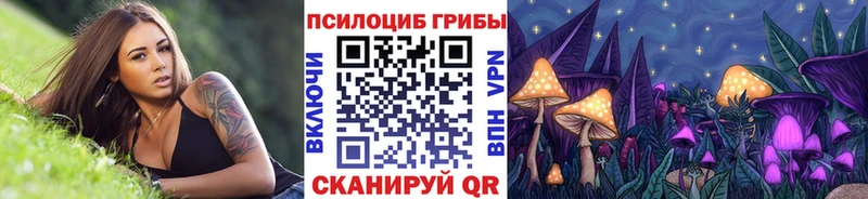Галлюциногенные грибы GOLDEN TEACHER  сайты даркнета Telegram  Анадырь  купить наркотик 